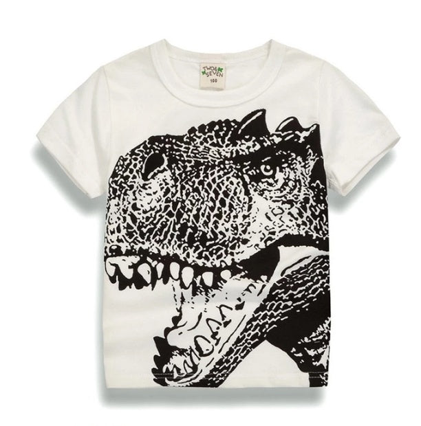 Boys Cotton Short Sleeves T-shirt