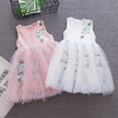 Girl Flower Princess Dress