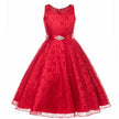 Girls Lace Occasion  Dress