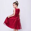 Girls Lace Occasion  Dress