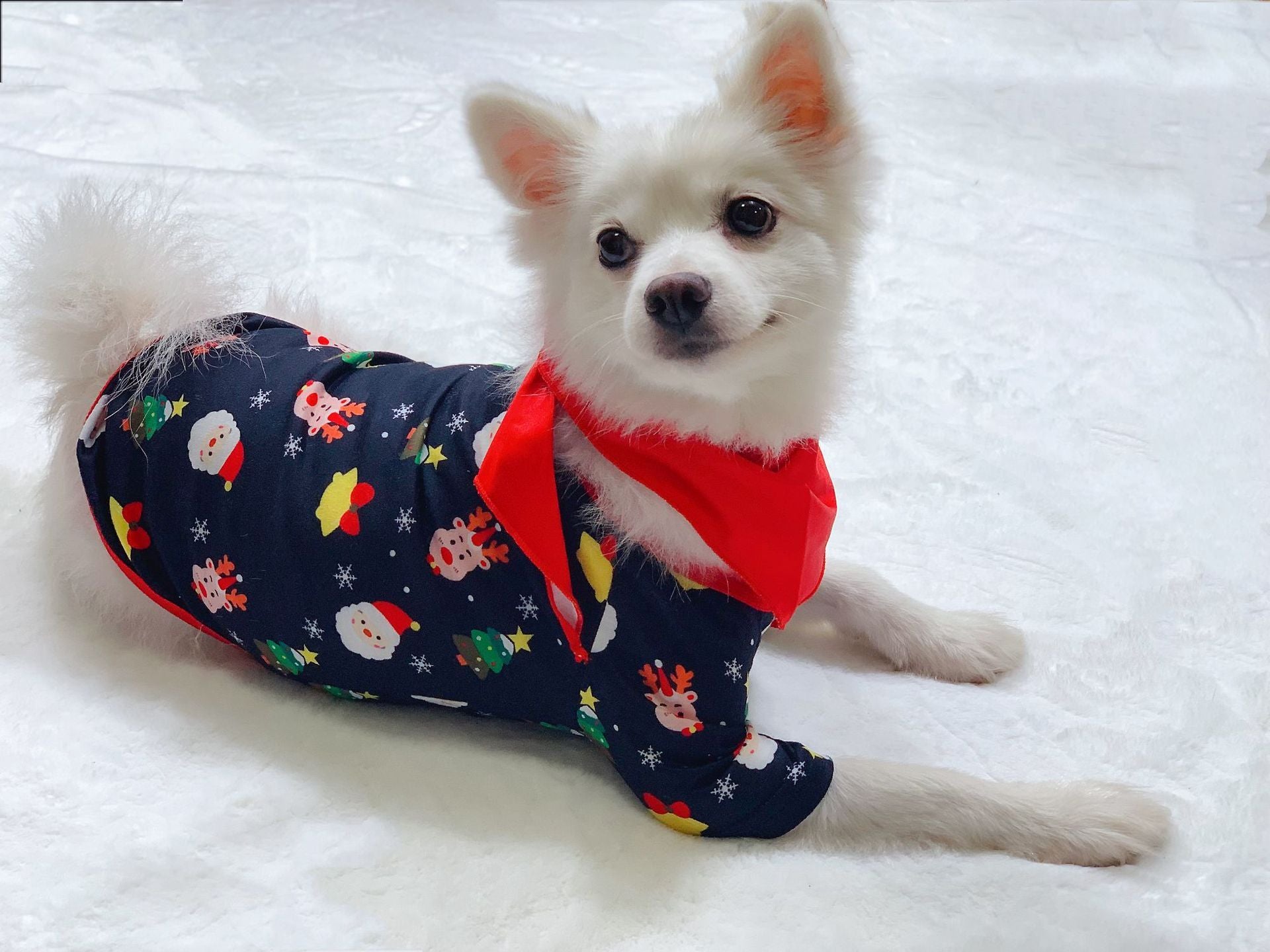 Christmas Family Matching Pajamas Set