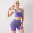 Seamless Yoga Clothes 2-piece Set