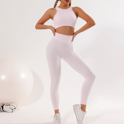 Dry Seamless Yoga Set