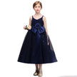 Girls Princess Occasion Dress