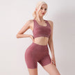 Seamless Yoga Clothes 2-piece Set