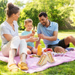 Reusable Triangle Sandwich Crisper
