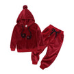Baby Girl Hoodie Set